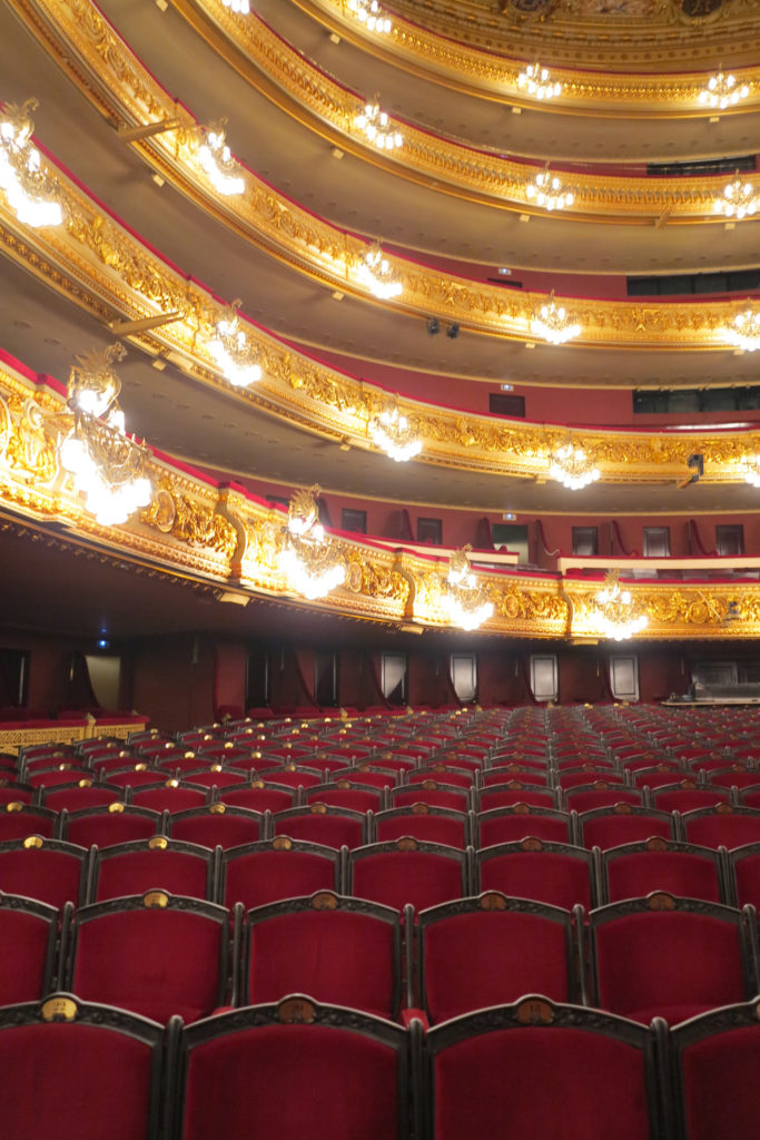 Teatro Liceo – Miquel Garriga i Roca – Barcelona_050