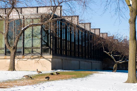 Paul Gavin Library IIT_007