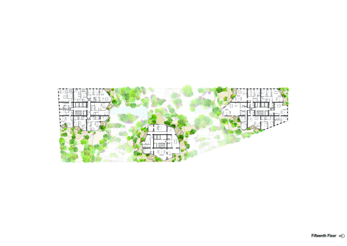 Valley planta 15