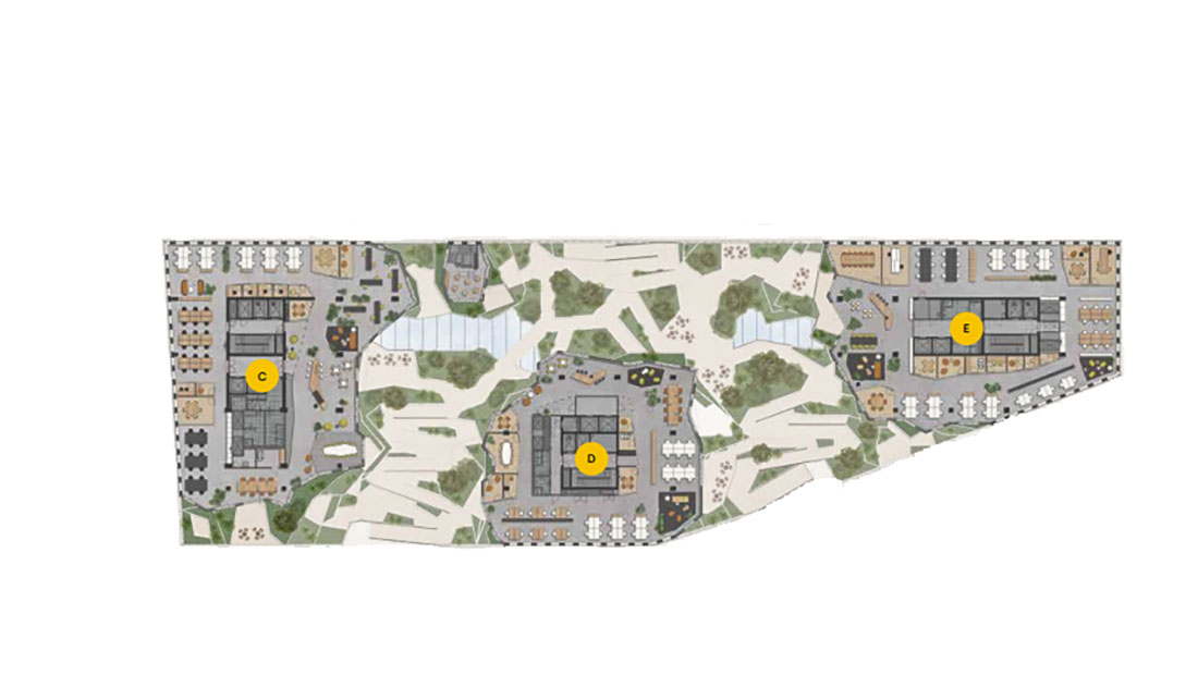 Valley planta 7